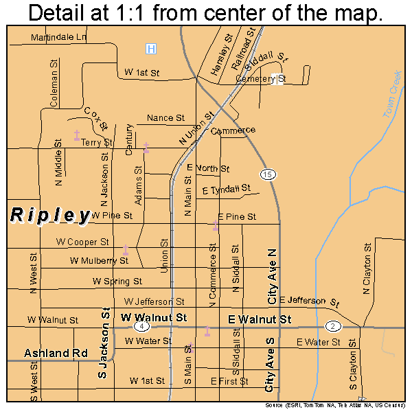 Ripley, Mississippi road map detail