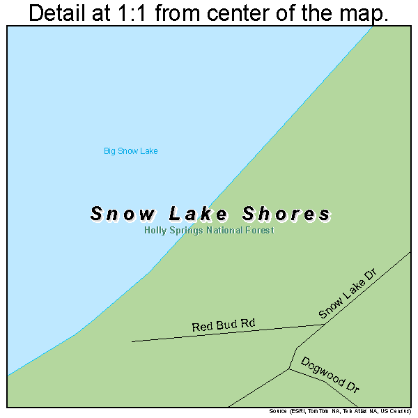 Snow Lake Shores, Mississippi road map detail
