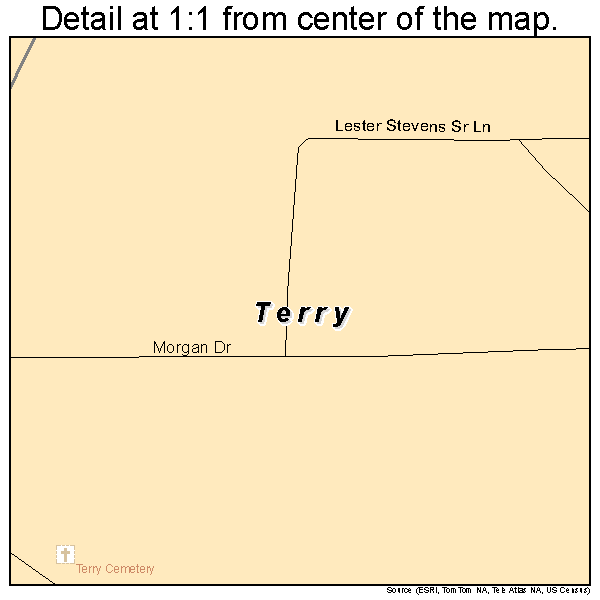 Terry, Mississippi road map detail