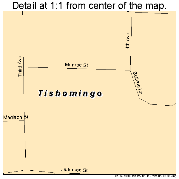 Tishomingo, Mississippi road map detail