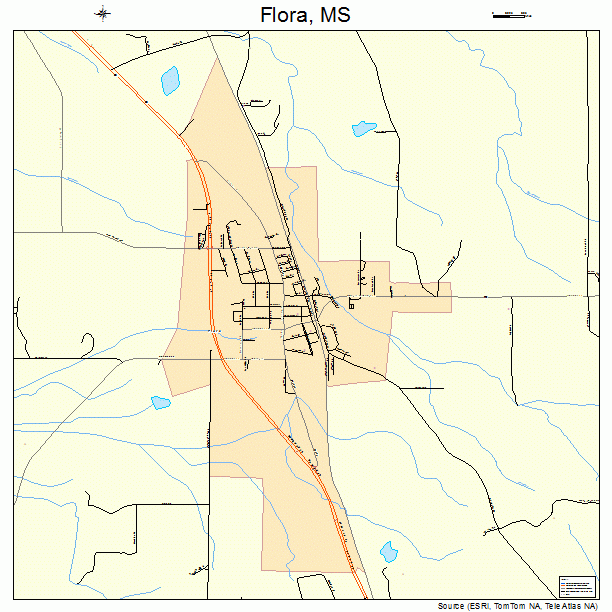 Flora, MS street map