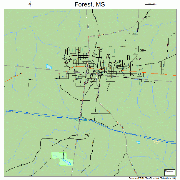 Forest, MS street map