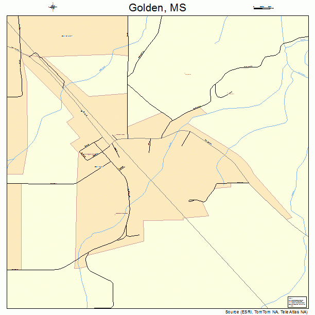 Golden, MS street map