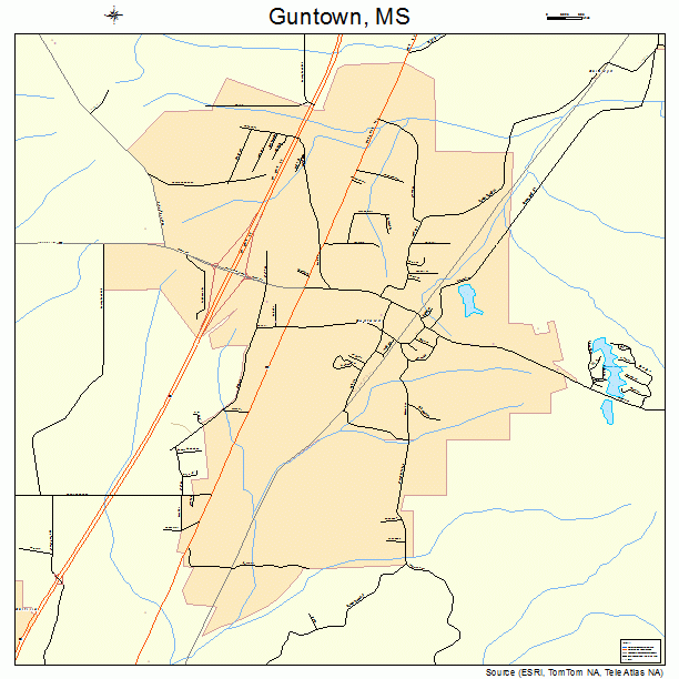 Guntown, MS street map