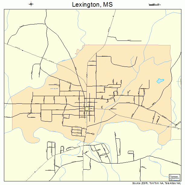 Lexington, MS street map