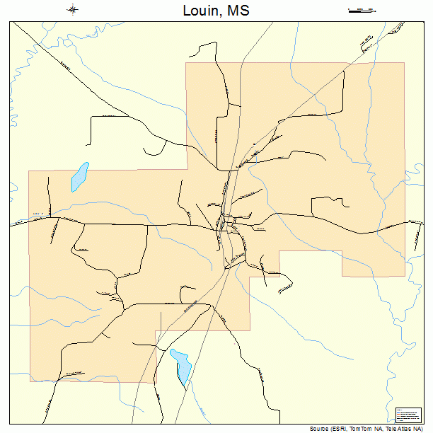 Louin, MS street map