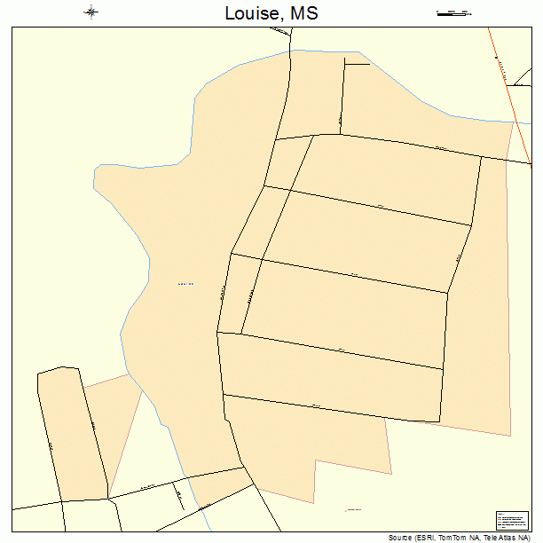 Louise, MS street map