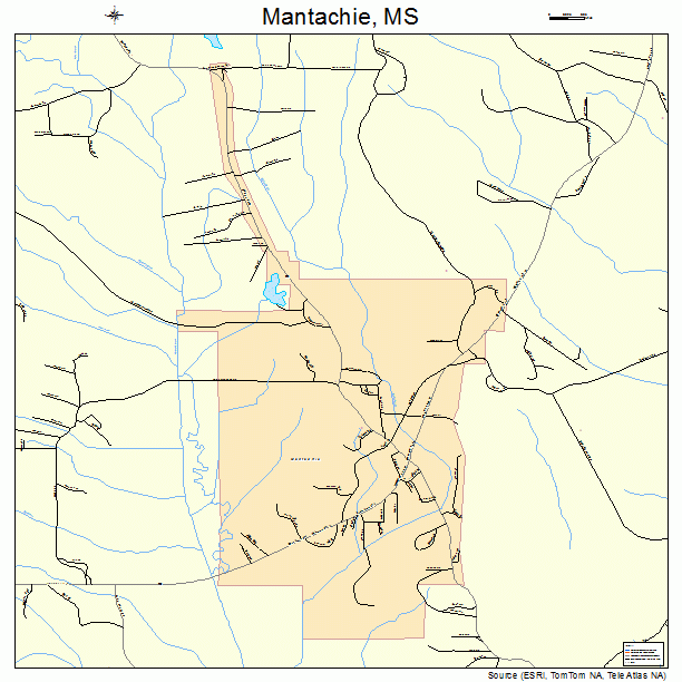 Mantachie, MS street map