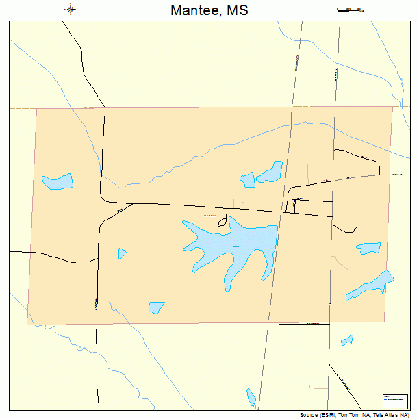 Mantee, MS street map