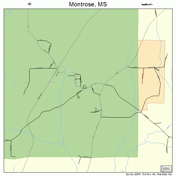Montrose, MS street map