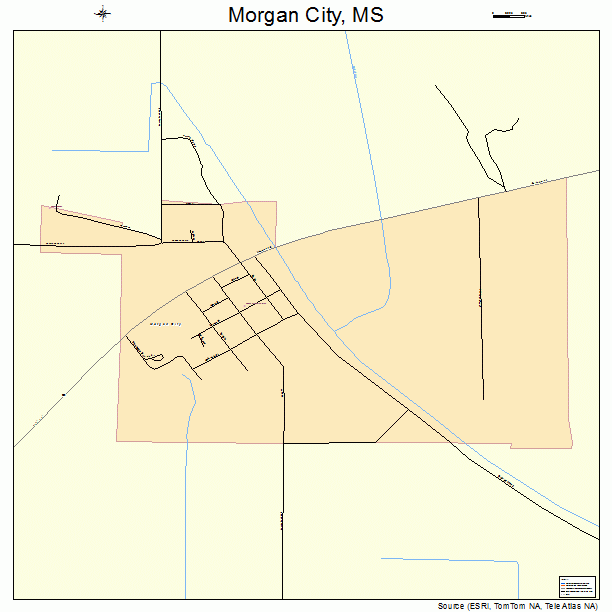 Morgan City, MS street map