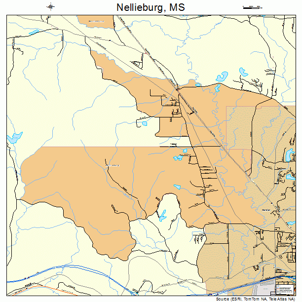 Nellieburg, MS street map