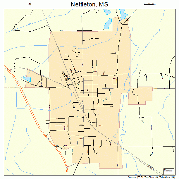 Nettleton, MS street map