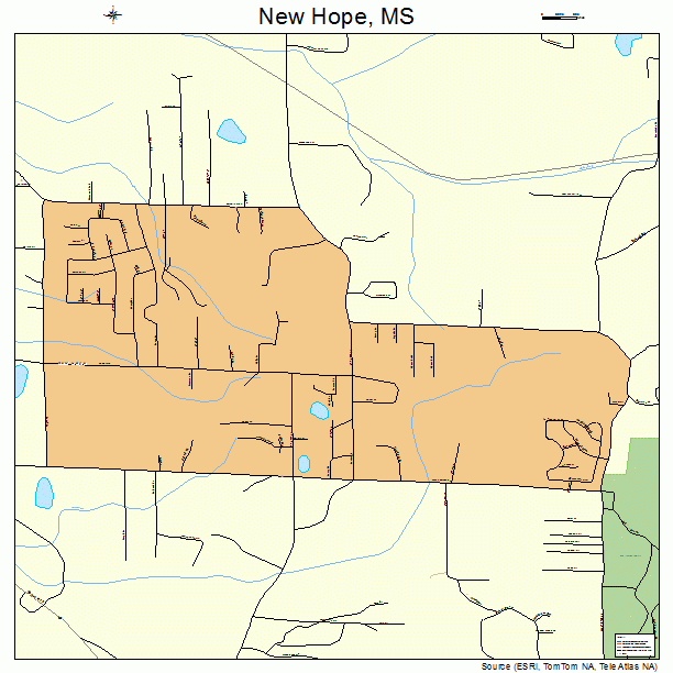 New Hope, MS street map