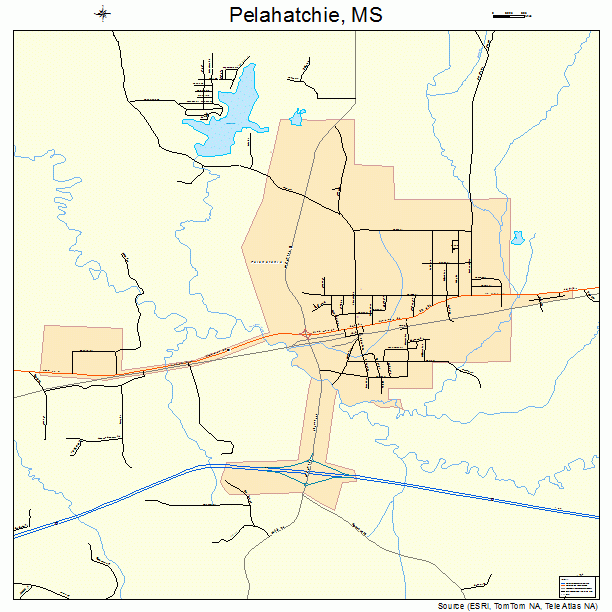 Pelahatchie, MS street map