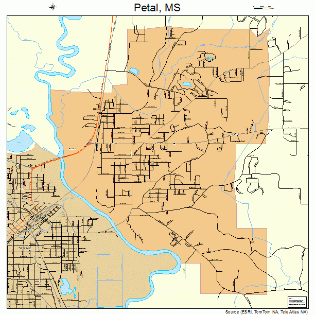 Petal, MS street map