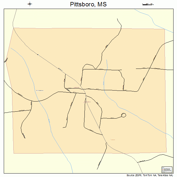 Pittsboro, MS street map