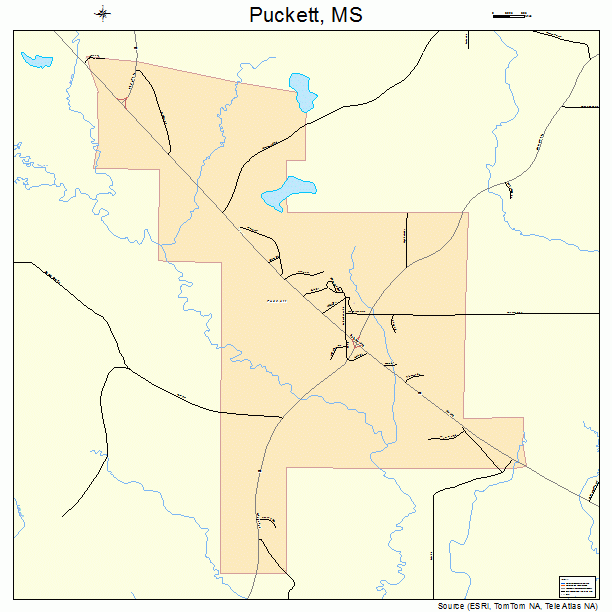 Puckett, MS street map