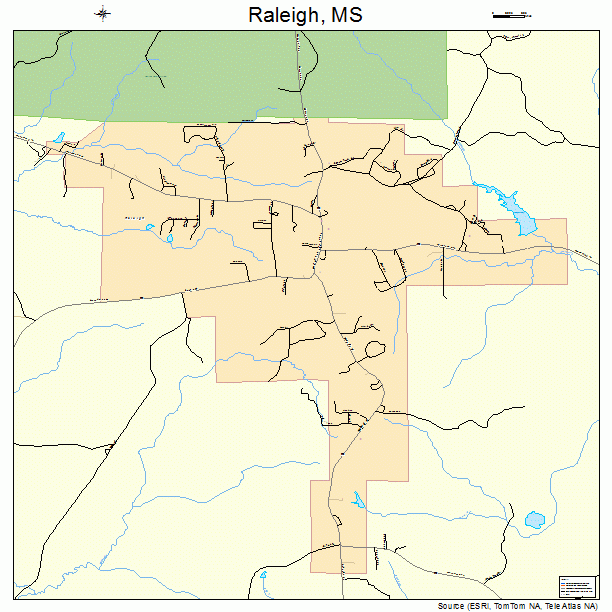 Raleigh, MS street map