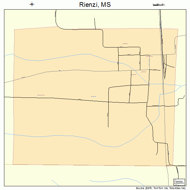 Rienzi, MS street map