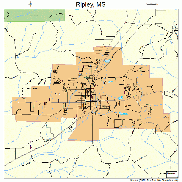 Ripley, MS street map