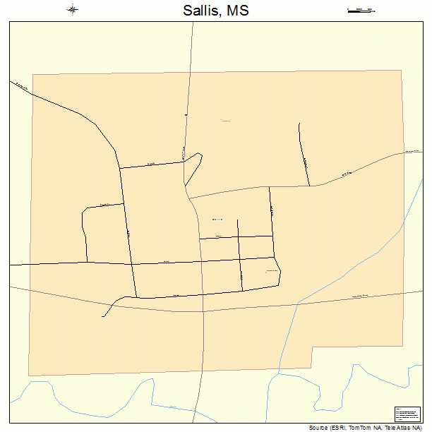 Sallis, MS street map