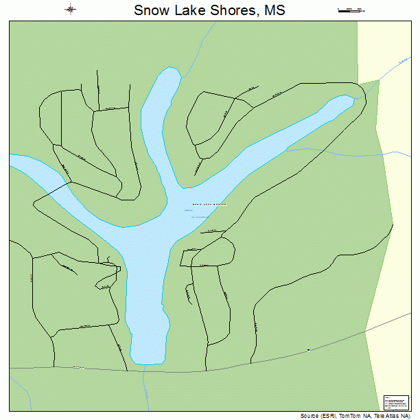 Snow Lake Shores, MS street map