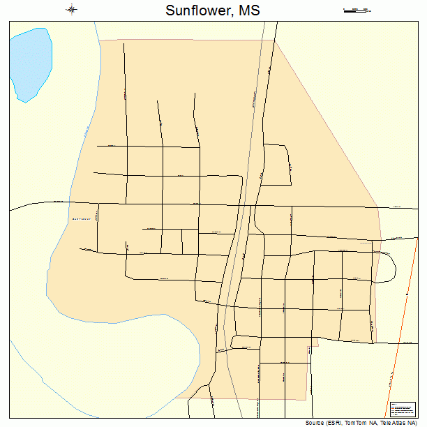 Sunflower, MS street map