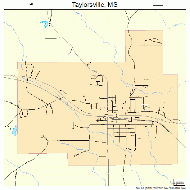 Taylorsville, MS street map