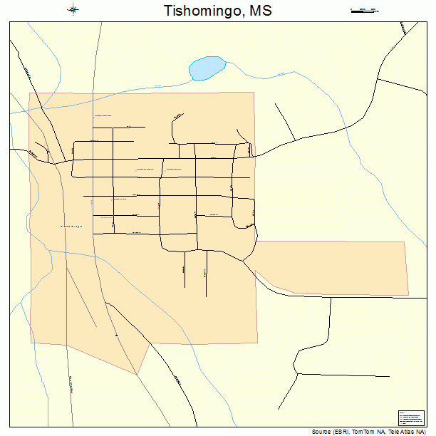 Tishomingo, MS street map