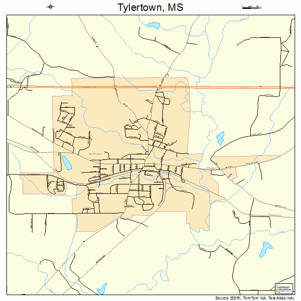 Tylertown, MS street map