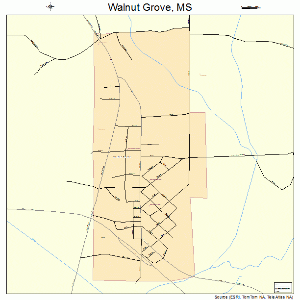 Walnut Grove, MS street map