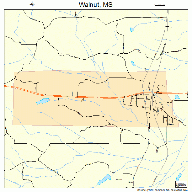 Walnut, MS street map