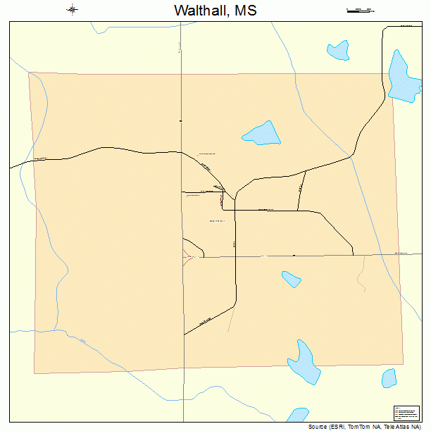 Walthall, MS street map