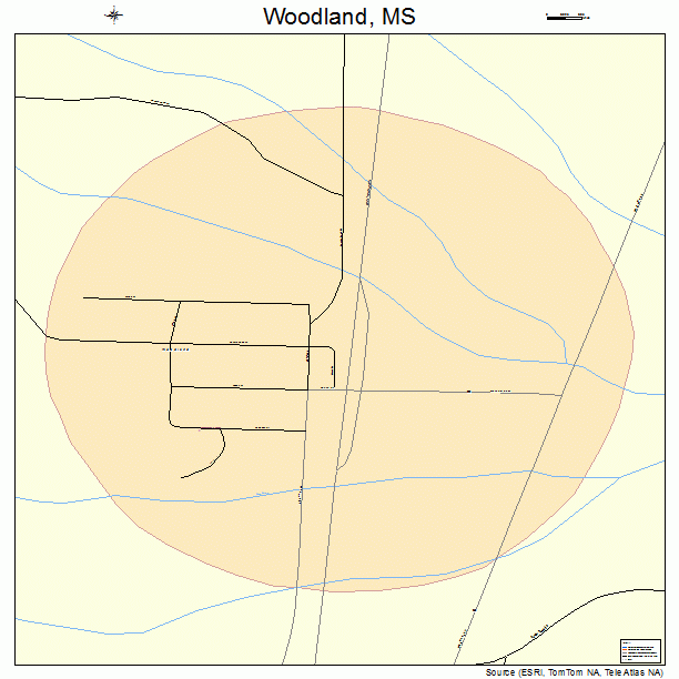 Woodland, MS street map