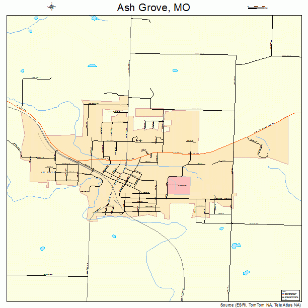 Ash Grove, MO street map