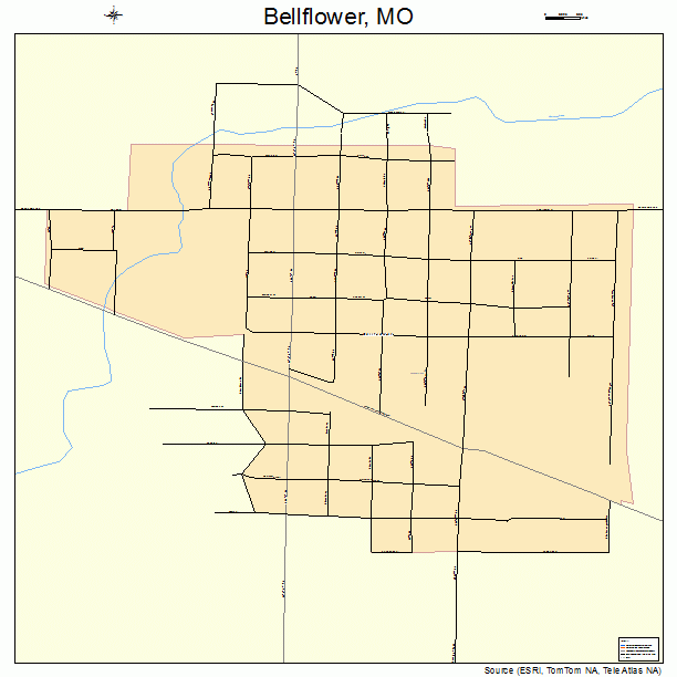 Bellflower, MO street map