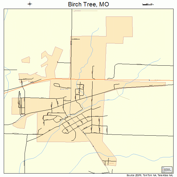 Birch Tree, MO street map