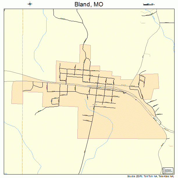 Bland, MO street map