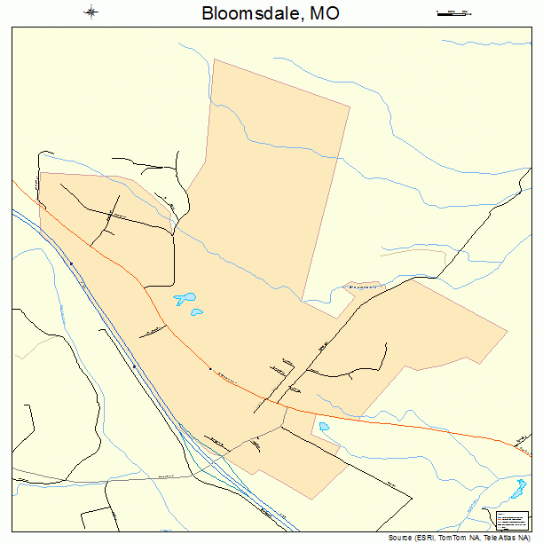 Bloomsdale, MO street map