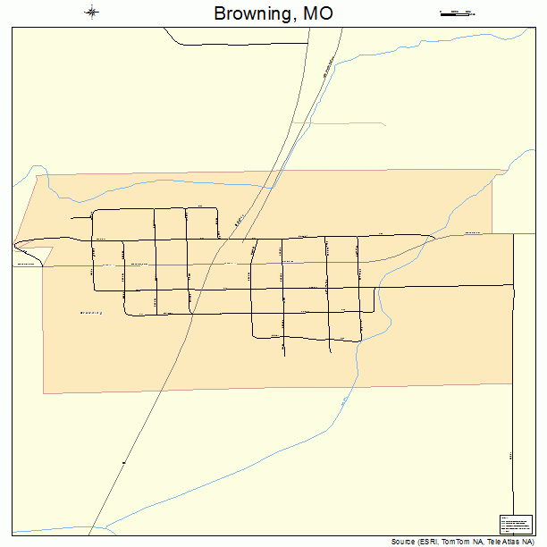 Browning, MO street map