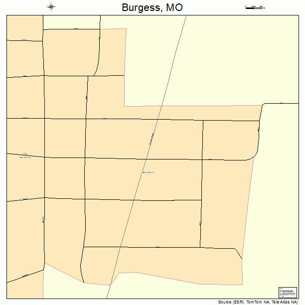 Burgess, MO street map