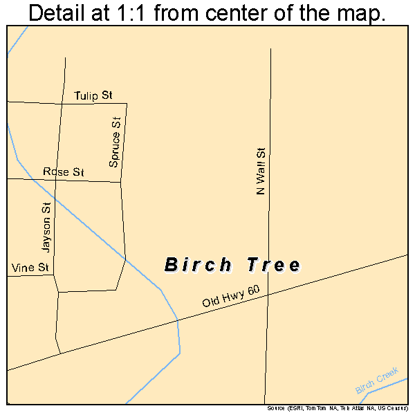 Birch Tree, Missouri road map detail