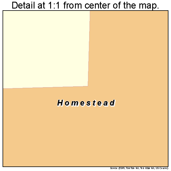 Homestead, Missouri road map detail