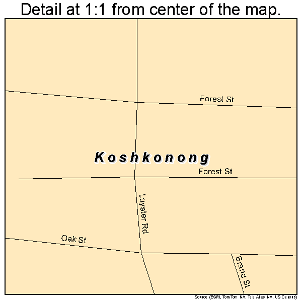 Koshkonong, Missouri road map detail