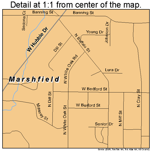 Marshfield, Missouri road map detail