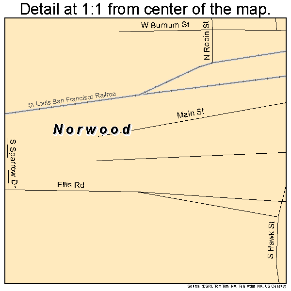 Norwood, Missouri road map detail