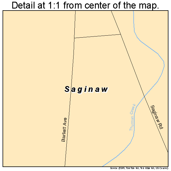 Saginaw, Missouri road map detail