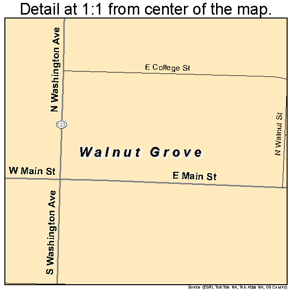 Walnut Grove, Missouri road map detail