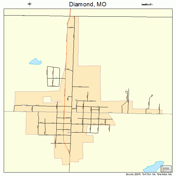 Diamond, MO street map